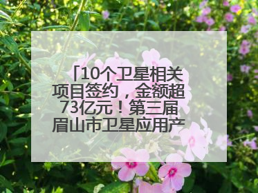 10个卫星相关项目签约，金额超73亿元！第三届眉山市卫星应用产业发展大会召开