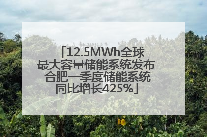 12.5MWh全球最大容量储能系统发布 合肥一季度储能系统同比增长425%