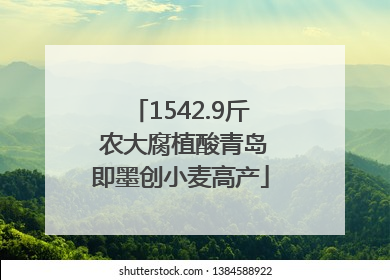 1542.9斤 农大腐植酸青岛即墨创小麦高产