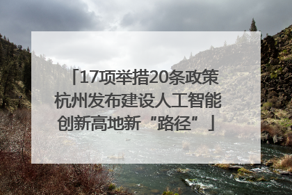 17项举措20条政策 杭州发布建设人工智能创新高地新“路径”