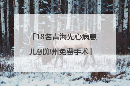 18名青海先心病患儿到郑州免费手术