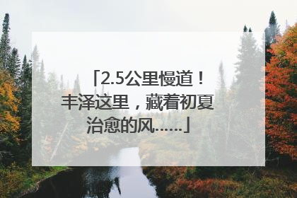2.5公里慢道！丰泽这里，藏着初夏治愈的风……