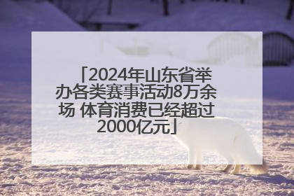 2024年山东省举办各类赛事活动8万余场 体育消费已经超过2000亿元