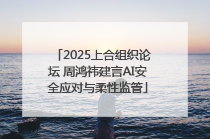 2025上合组织论坛 周鸿祎建言AI安全应对与柔性监管