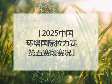 2025中国环塔国际拉力赛第五赛段赛况
