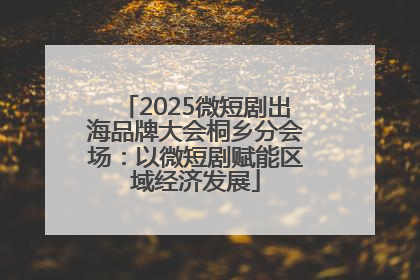 2025微短剧出海品牌大会桐乡分会场：以微短剧赋能区域经济发展