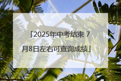 2025年中考结束 7月8日左右可查询成绩