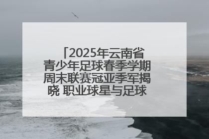 2025年云南省青少年足球春季学期周末联赛冠亚季军揭晓 职业球星与足球小将共享荣耀时刻