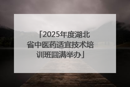 2025年度湖北省中医药适宜技术培训班圆满举办