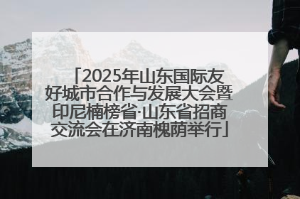2025年山东国际友好城市合作与发展大会暨印尼楠榜省·山东省招商交流会在济南槐荫举行