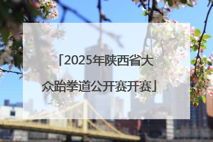 2025年陕西省大众跆拳道公开赛开赛