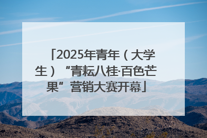 2025年青年（大学生）“青耘八桂·百色芒果”营销大赛开幕