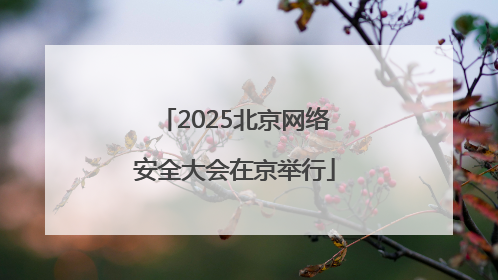 2025北京网络安全大会在京举行