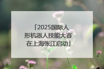 2025国际人形机器人技能大赛在上海张江启动