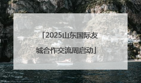 2025山东国际友城合作交流周启动