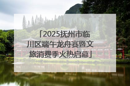 2025抚州市临川区端午龙舟赛暨文旅消费季火热启幕