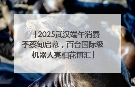 2025武汉端午消费季蔡甸启幕，百台国际级机器人亮相花博汇