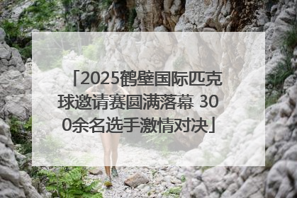 2025鹤壁国际匹克球邀请赛圆满落幕 300余名选手激情对决
