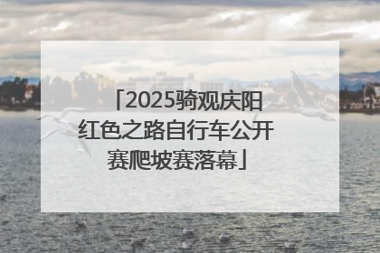 2025骑观庆阳红色之路自行车公开赛爬坡赛落幕