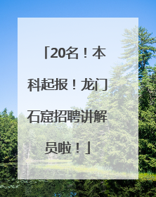 20名！本科起报！龙门石窟招聘讲解员啦！