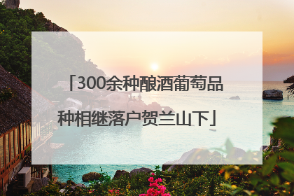 300余种酿酒葡萄品种相继落户贺兰山下