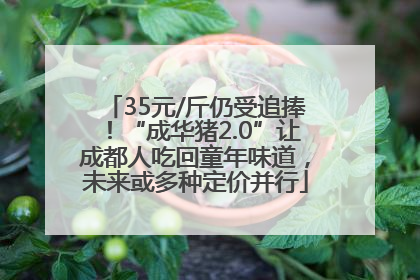 35元/斤仍受追捧！“成华猪2.0”让成都人吃回童年味道，未来或多种定价并行