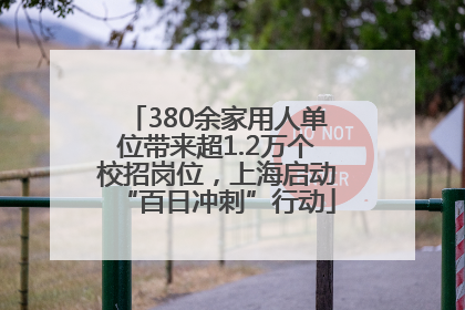 380余家用人单位带来超1.2万个校招岗位，上海启动“百日冲刺”行动