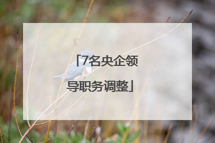 7名央企领导职务调整
