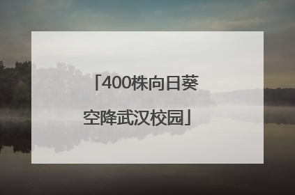 400株向日葵空降武汉校园