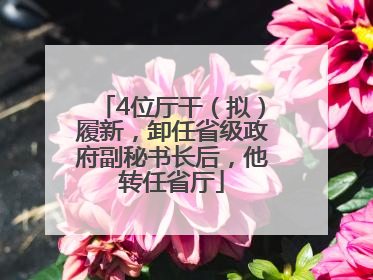 4位厅干（拟）履新，卸任省级政府副秘书长后，他转任省厅