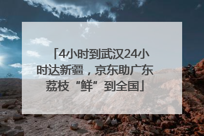 4小时到武汉24小时达新疆，京东助广东荔枝“鲜”到全国