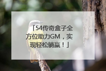 54传奇盒子全方位助力GM，实现轻松躺赢！