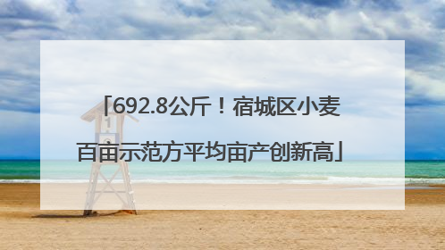 692.8公斤！宿城区小麦百亩示范方平均亩产创新高