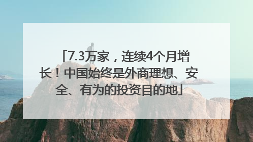 7.3万家，连续4个月增长！中国始终是外商理想、安全、有为的投资目的地
