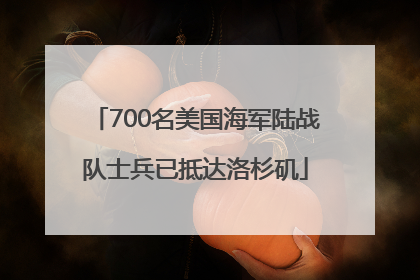 700名美国海军陆战队士兵已抵达洛杉矶