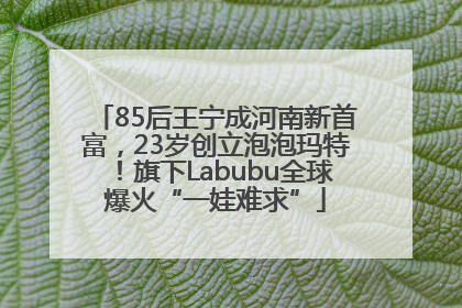 85后王宁成河南新首富，23岁创立泡泡玛特！旗下Labubu全球爆火“一娃难求”