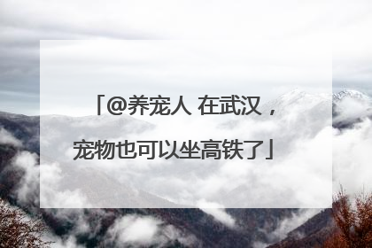 @养宠人 在武汉，宠物也可以坐高铁了