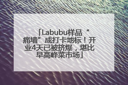 Labubu样品“痛墙”成打卡地标！开业4天已被挤爆，堪比早高峰菜市场
