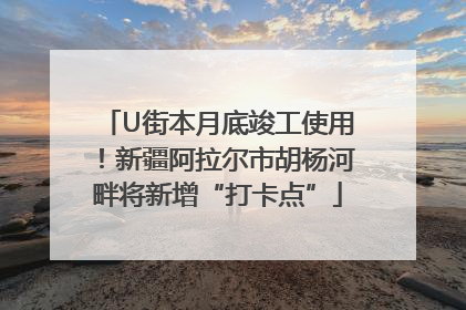 U街本月底竣工使用！新疆阿拉尔市胡杨河畔将新增“打卡点”